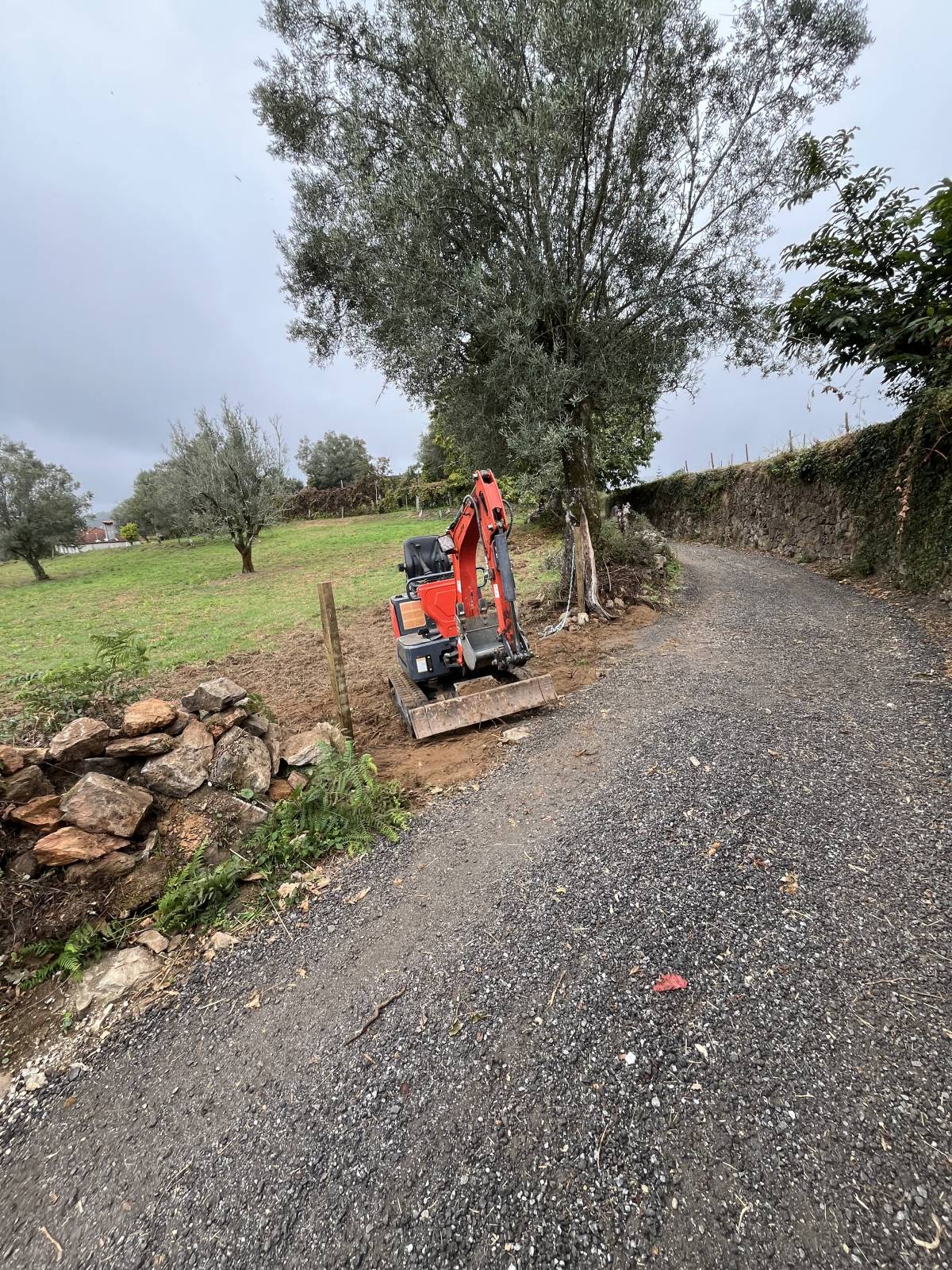 MForce - Vila Nova de Famalicão - Serviço de Retroescavadora