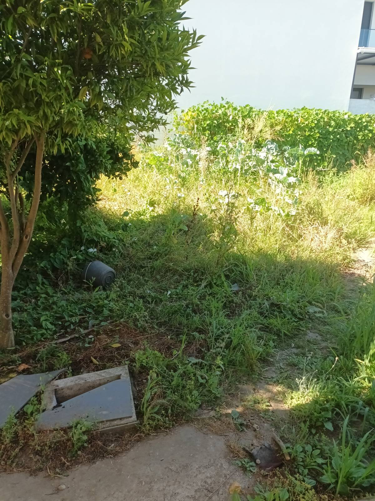 Baptista Jardins e Serviços - Ílhavo - Boulder Placement