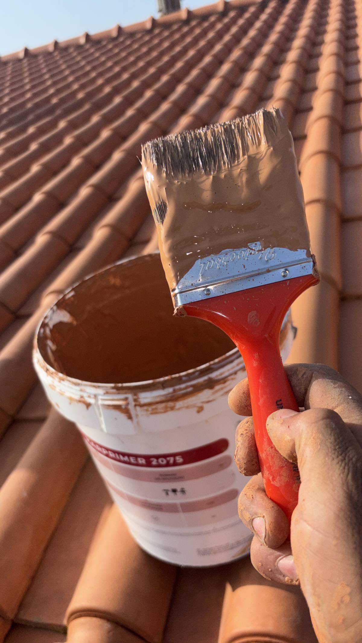 RS PINTURAS ALGARVE - Faro - Limpieza de chimeneas