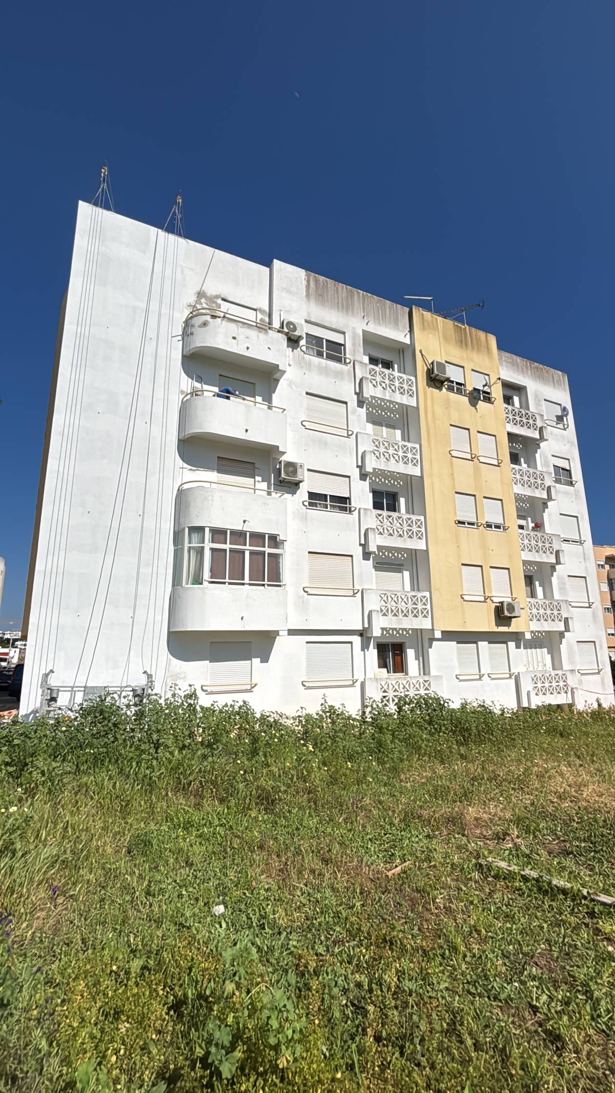 RS PINTURAS ALGARVE - Faro - Eliminación de arbustos