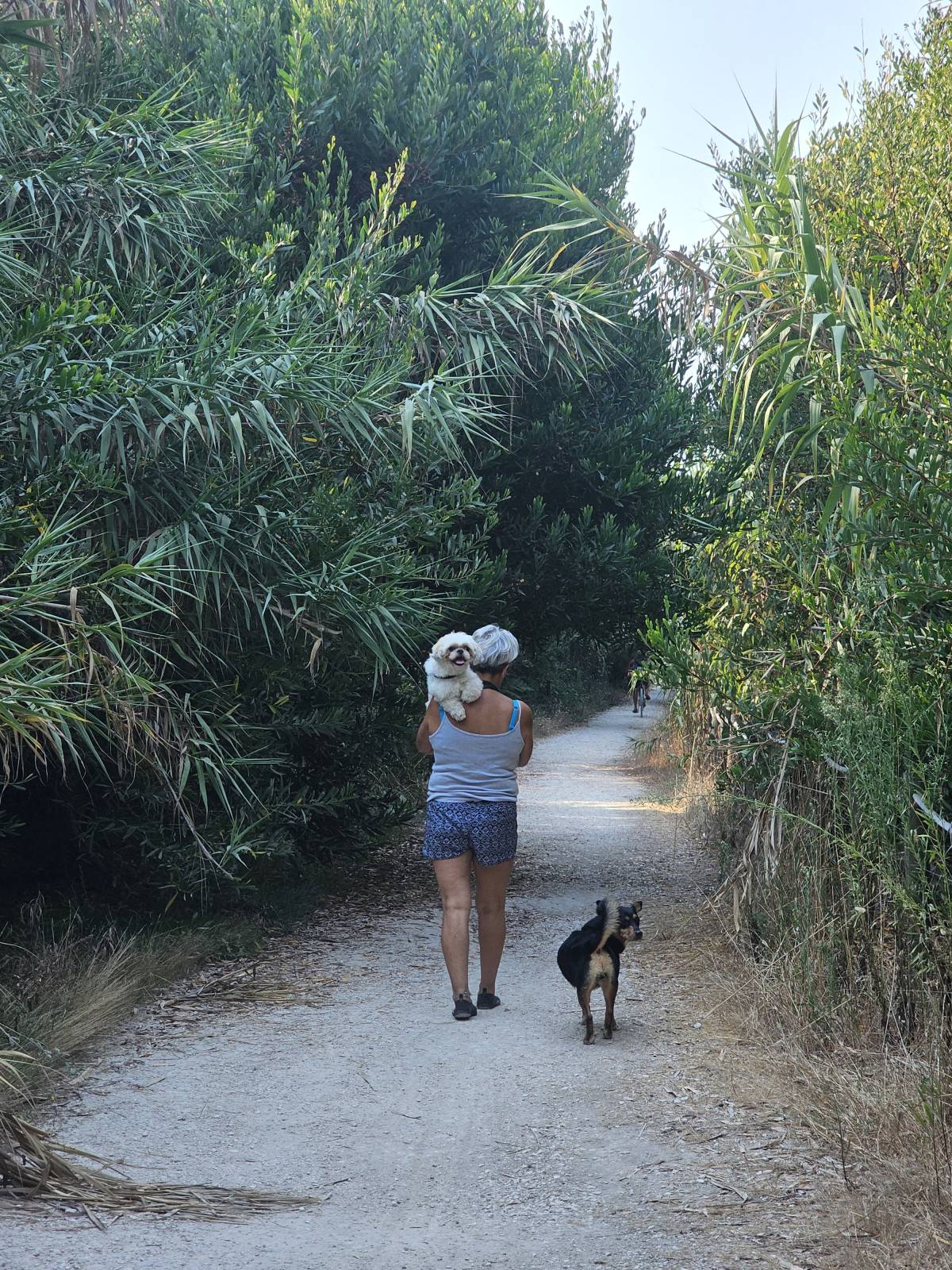 Pet Sitting - Póvoa de Varzim - Pet Sitting