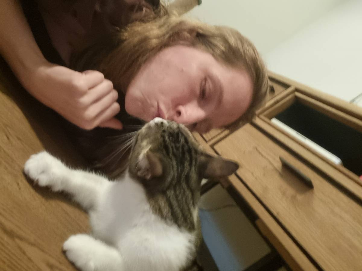Nathalie - Almada - Cat Sitting