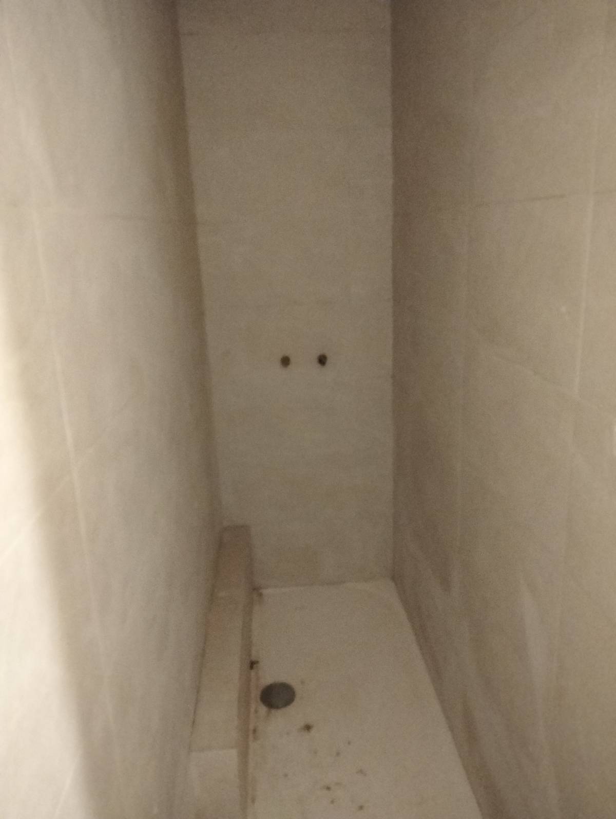 MR-Constrcoes- Ritmos inf un, lda - Montijo - Tree Trimming and Maintenance