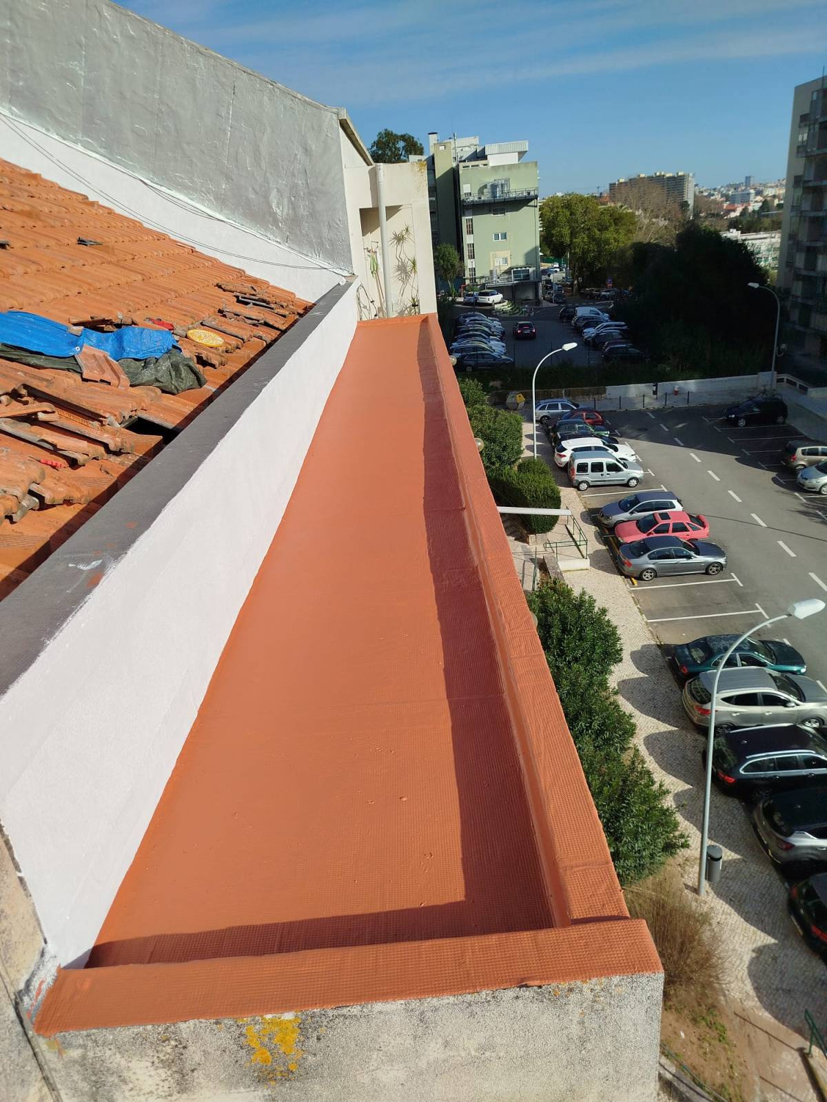 Arte em Tinta - Lisboa - Poda e Manutenção de Árvores