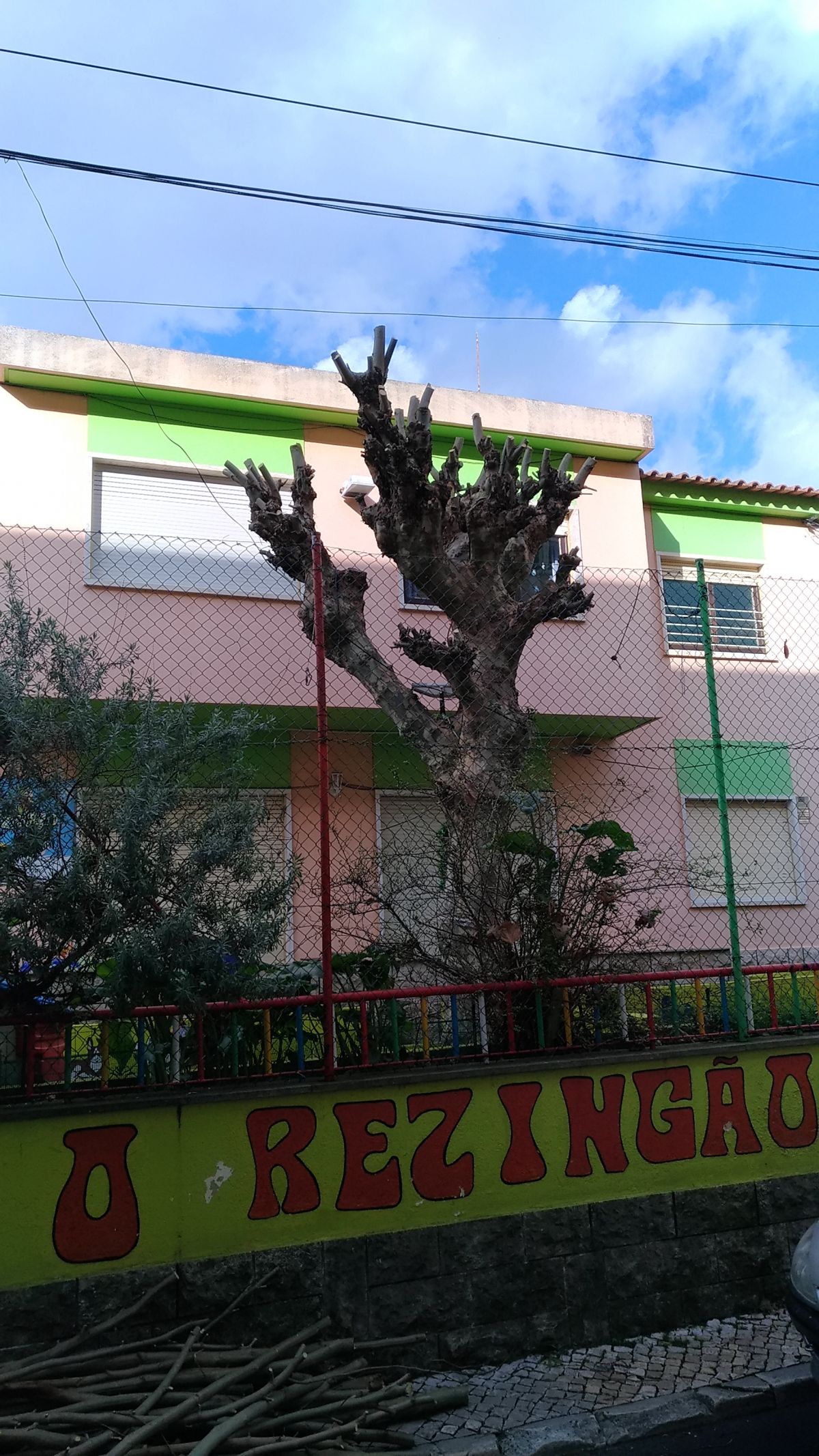 JR mudanças e Jardins - Lisboa - Tree Trimming and Maintenance