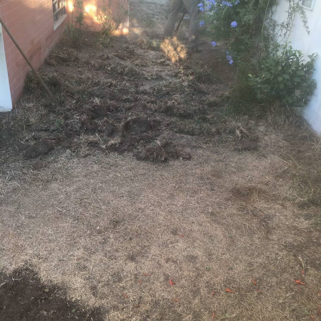 DD JARDIM - Sintra - Reparação ou Substituição de Pavimento em Madeira