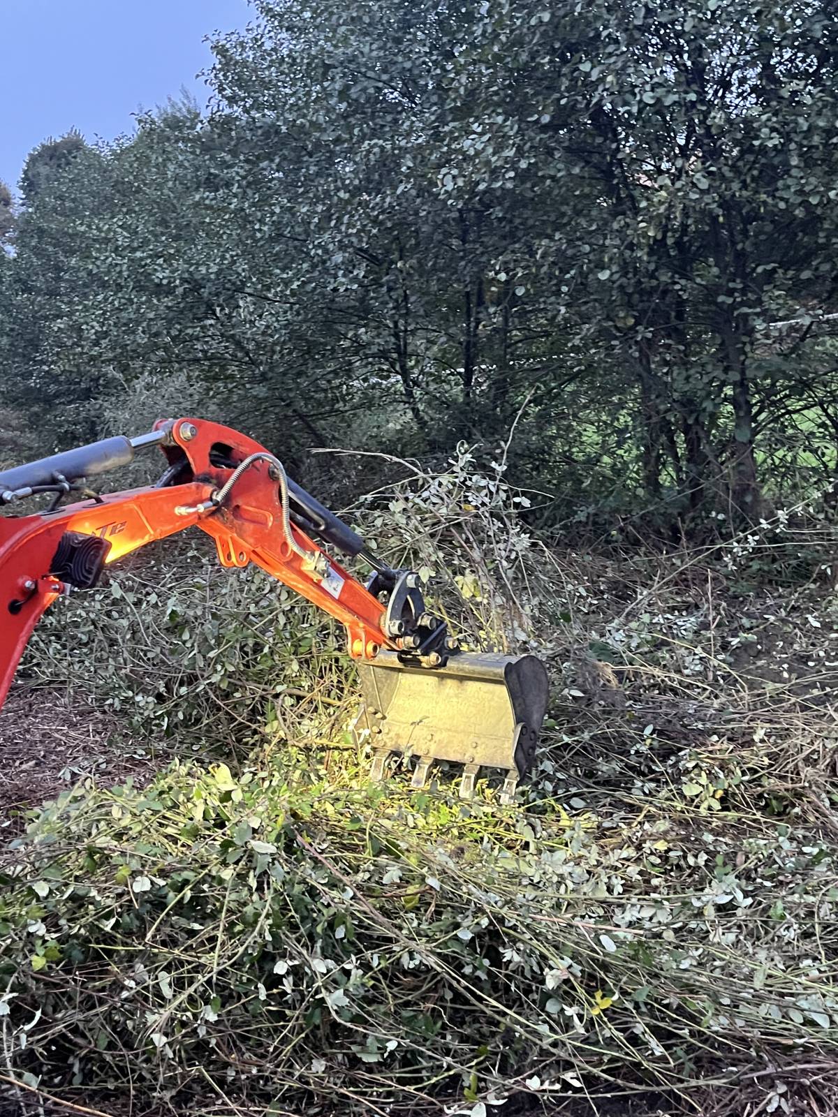 MForce - Vila Nova de Famalicão - Aluguer de Equipamentos