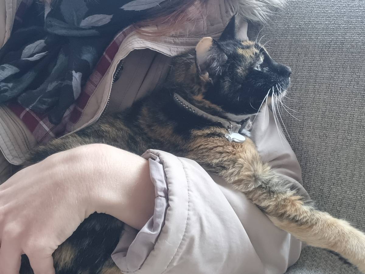 Nathalie - Almada - Cuidados para Animais de Estimação