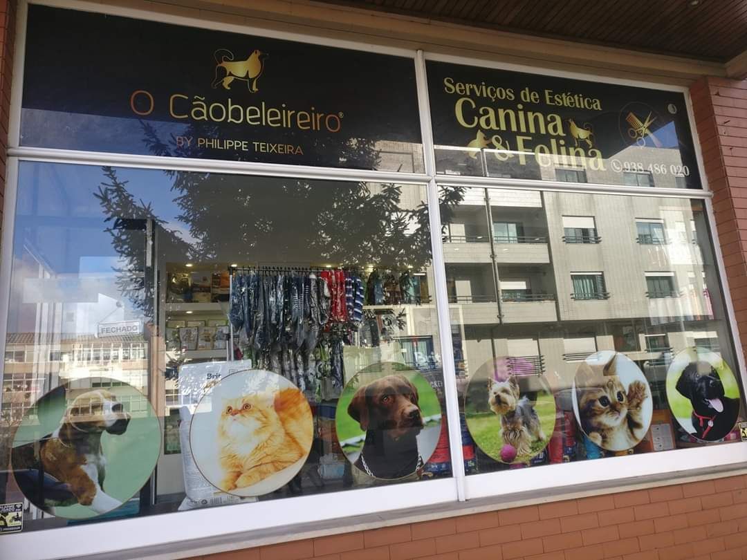 Eduardo Carvalho - Maia - Grafikdesign