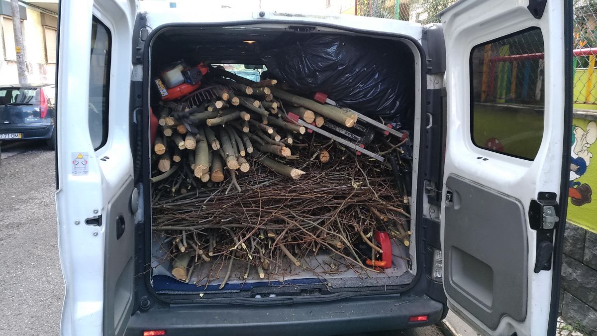 JR mudanças e Jardins - Lisboa - Shrub Removal