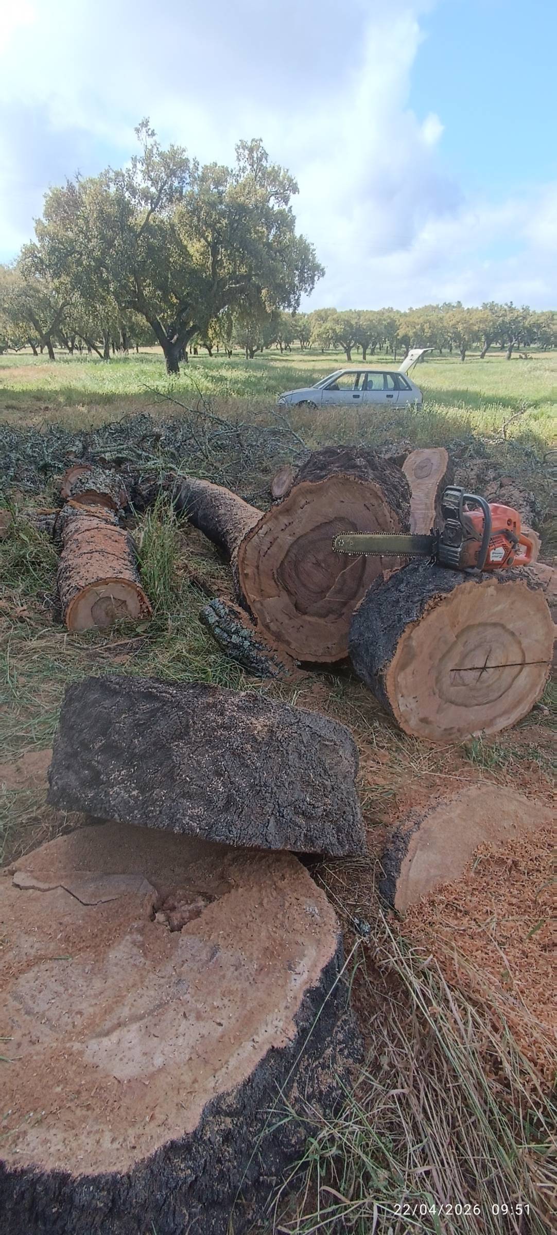 prestação de serviços rural - Viana do Alentejo - Handyman