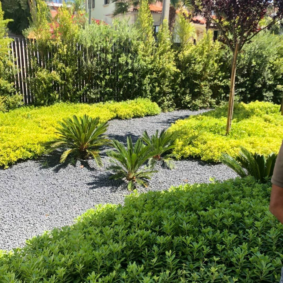 DD JARDIM - Sintra - Nivelação de Terreno - Grande Dimensão (mais de 1 hectar)