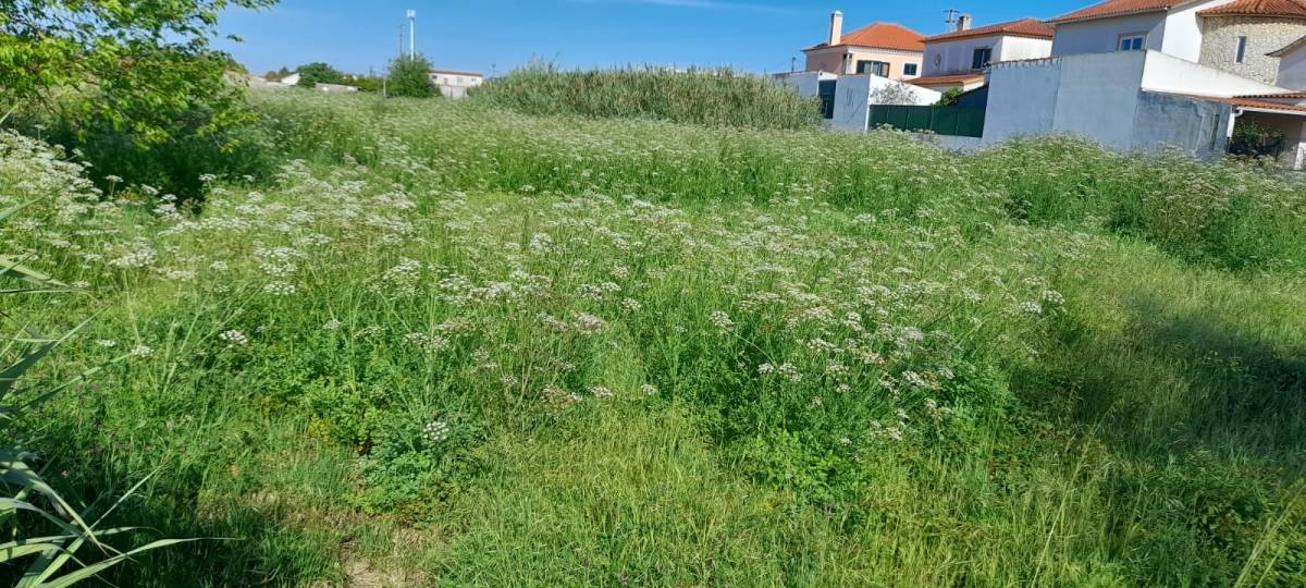 Relvagrass - Barreiro - Limpieza de tejados