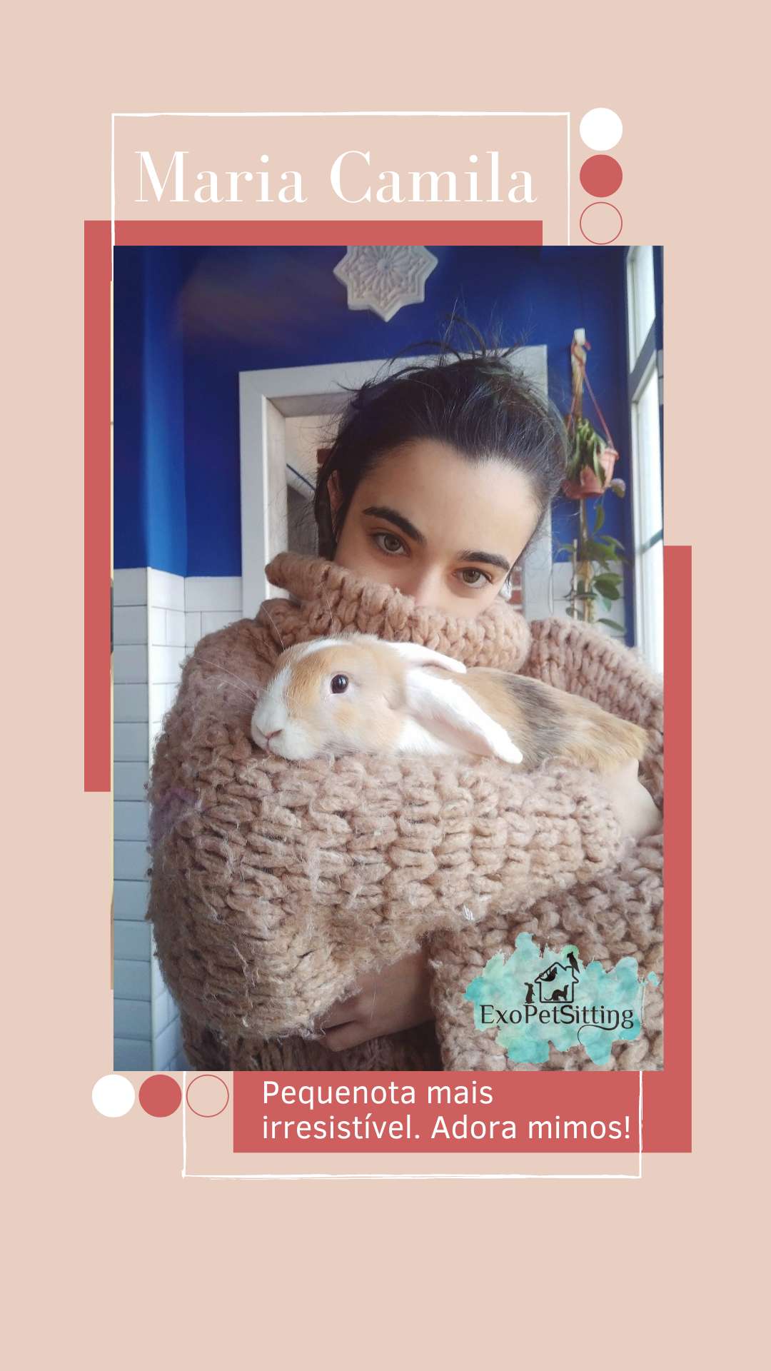 EXOPETSITTING - Pet-sitting Animais Exóticos e Acupuntura Veterinária - Mafra - Veterinarian