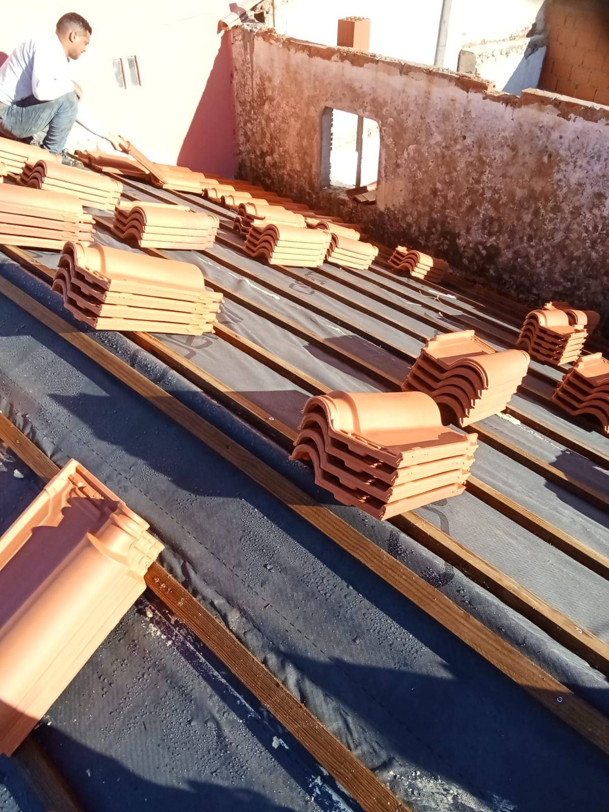 Pablo Rodrigues - Vila Franca de Xira - Peinture intérieure
