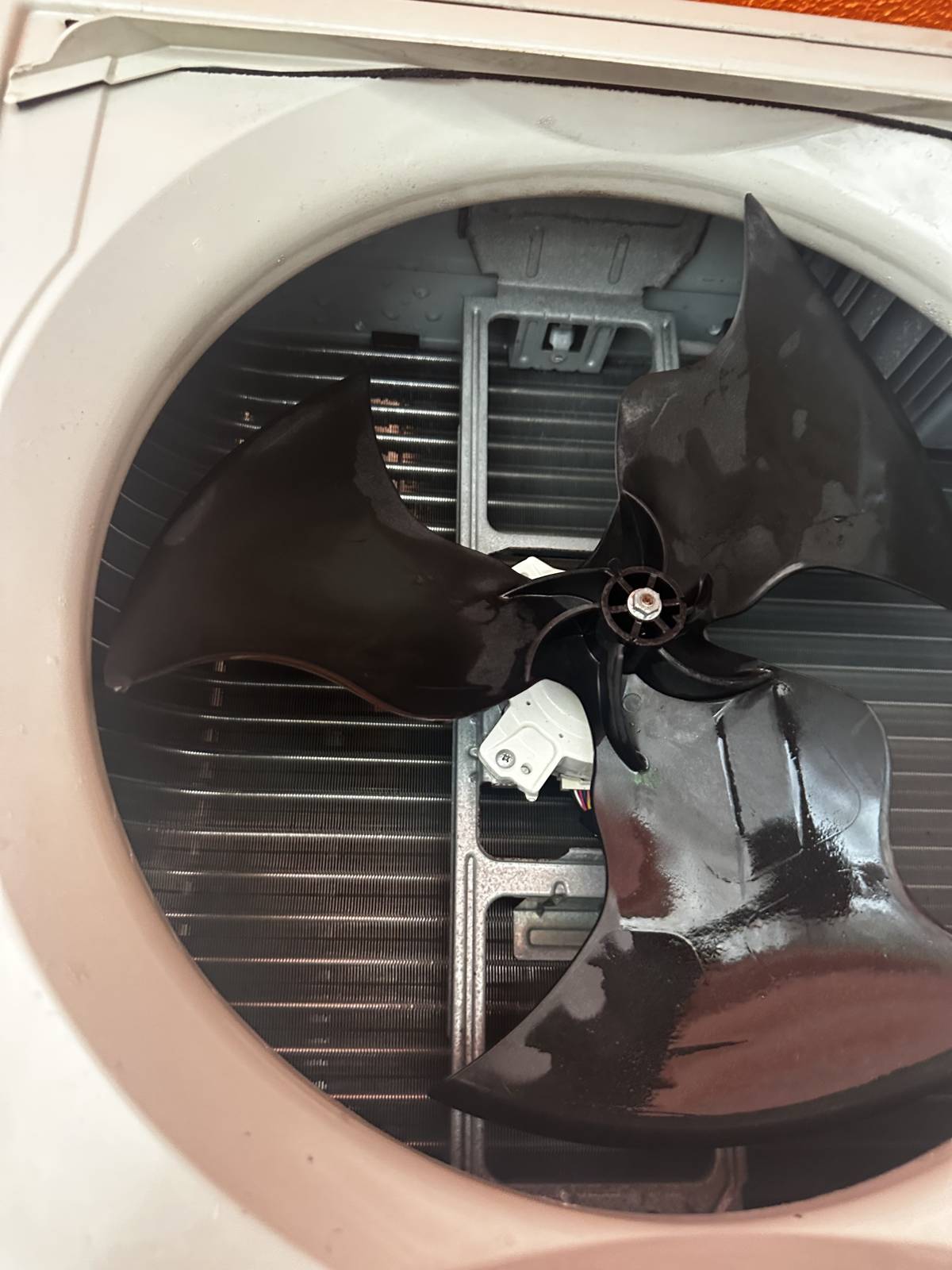 TejoAirClean - Almada - Nettoyage de propriété