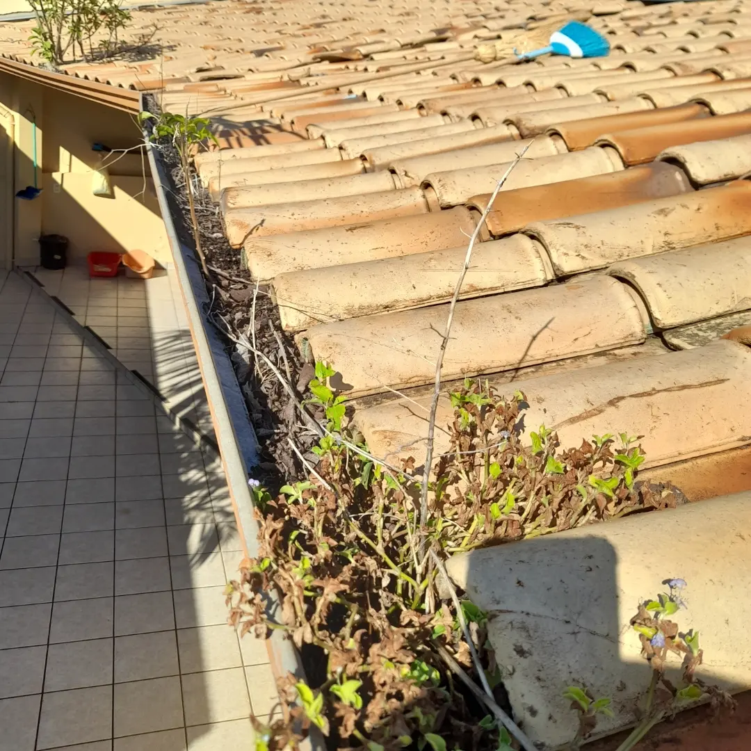 Personal Organizer do lar - Oeiras - Limpeza a Fundo