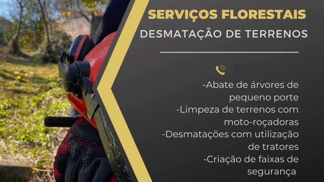 Tiago Carvalho - Santo Tirso - Remoção de Ervas Daninhas