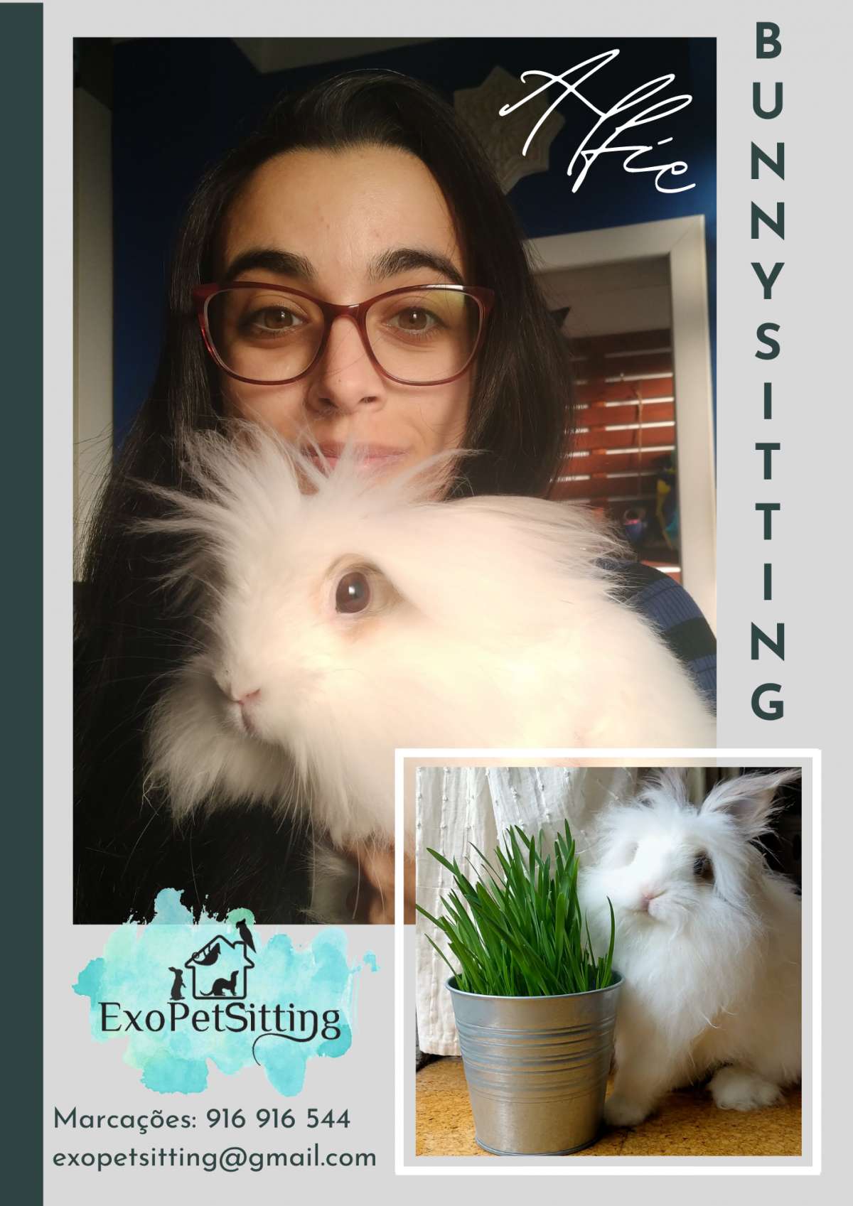 EXOPETSITTING - Pet-sitting Animais Exóticos e Acupuntura Veterinária - Mafra - Hotel de Animais de Estimação