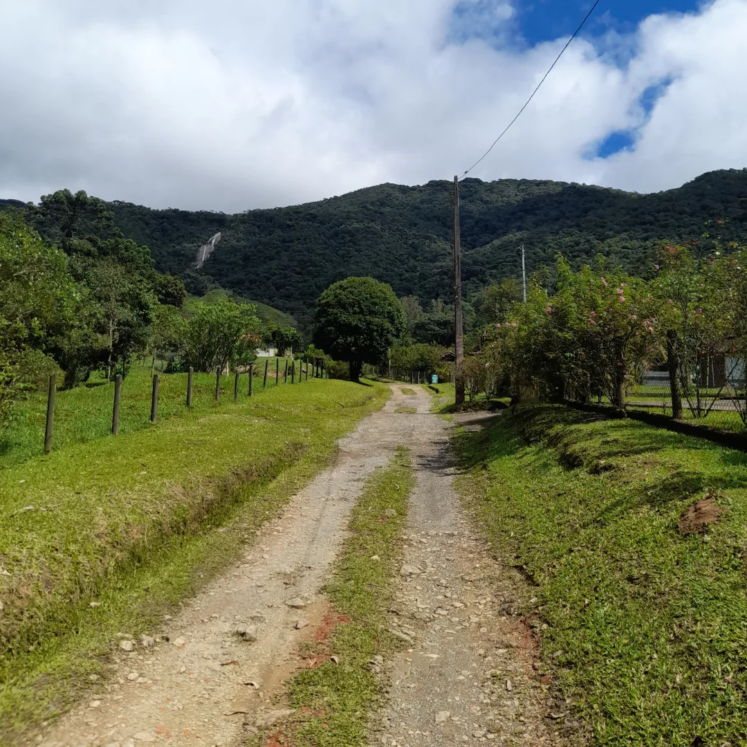 Personal Organizer do lar - Oeiras - Corte e Aparação de Relvado