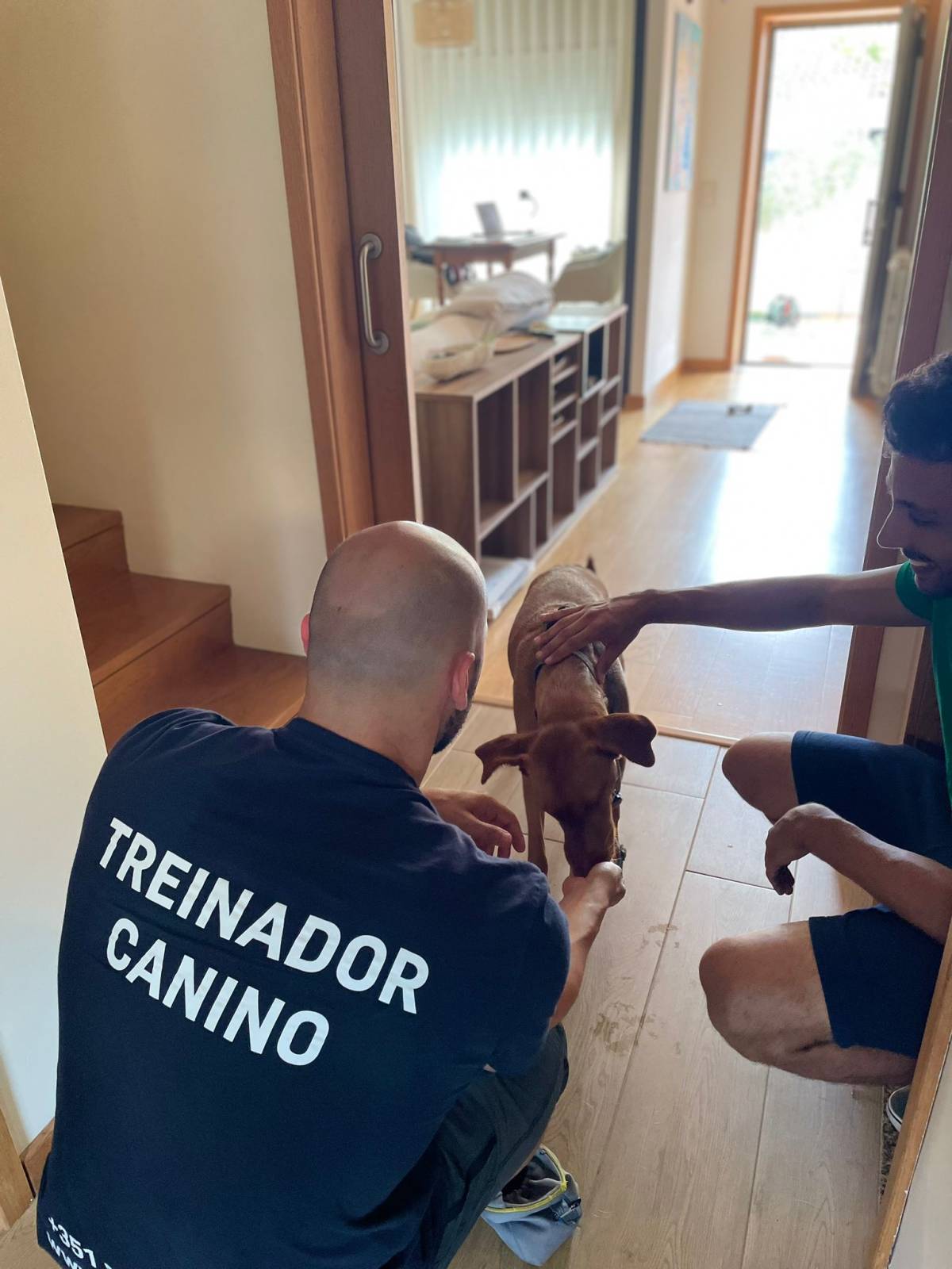 Estimacão | Educação e bem-estar - Ílhavo - Modificación del comportamiento animal
