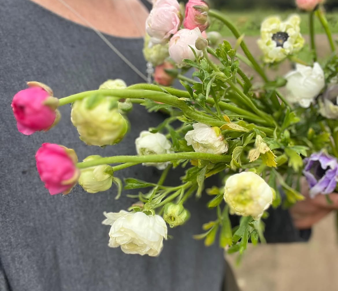 Alexandra - Sintra - Event Florist