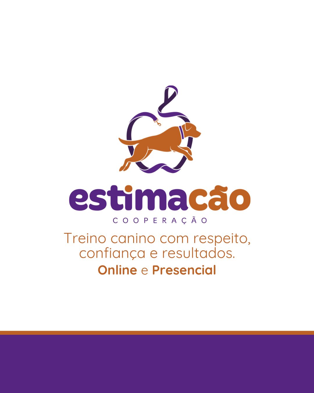 Estimacão | Educação e bem-estar - Ílhavo - Cuidar tus gatos