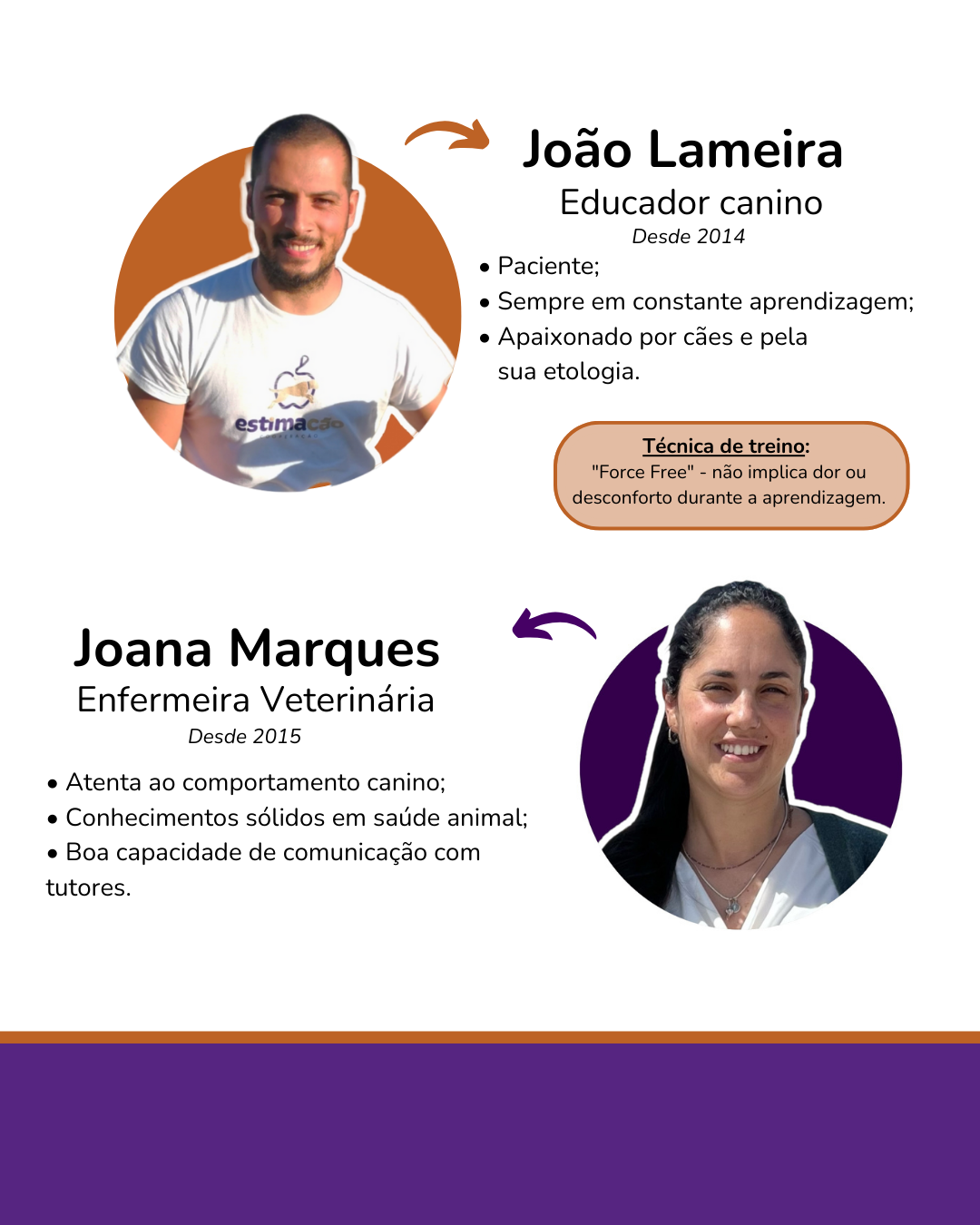 Estimacão | Educação e bem-estar - Ílhavo - Cuidar tus perros