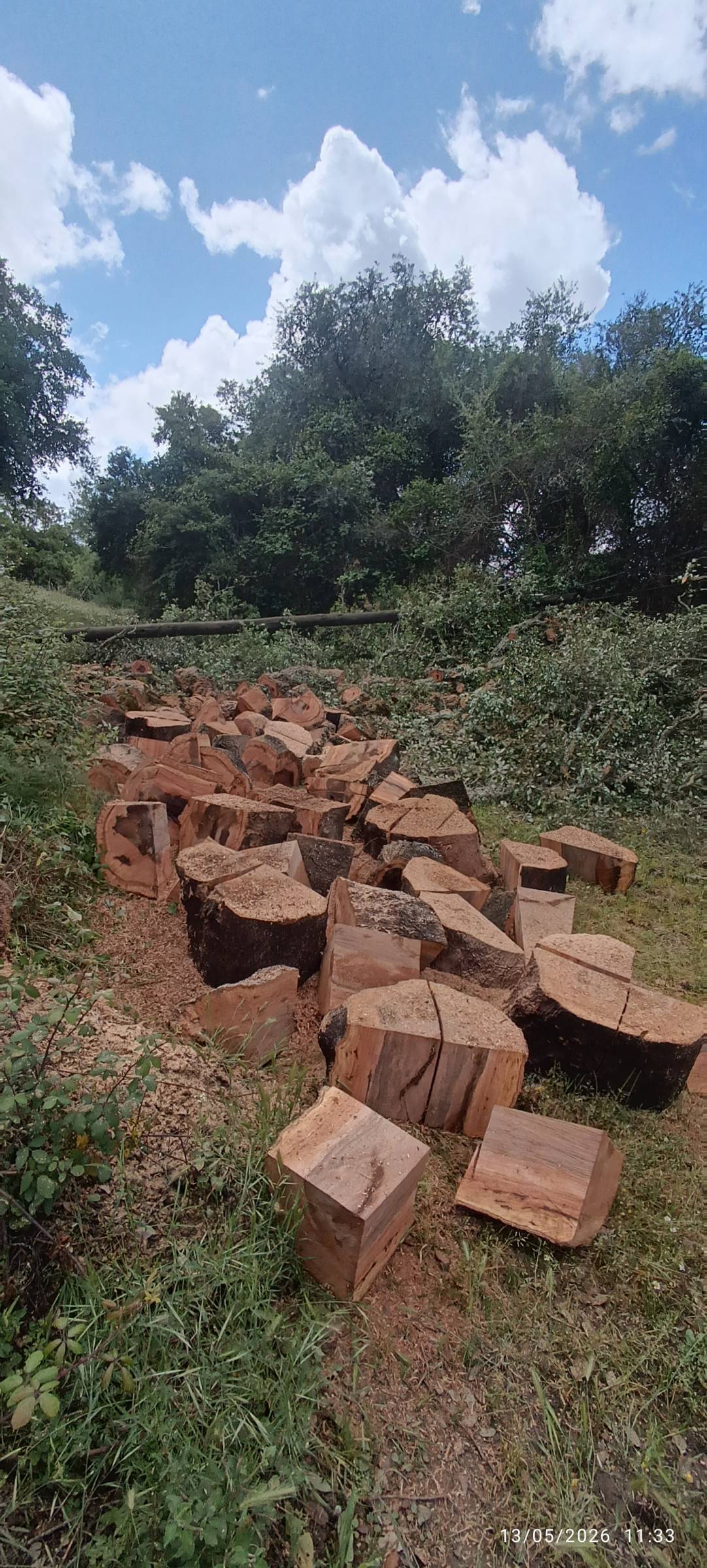 prestação de serviços rural - Viana do Alentejo - Handyman