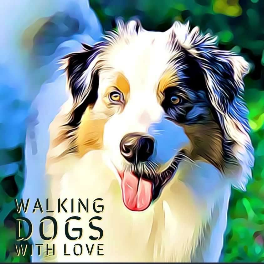 Walking dogs with love - Covilhã - Dog Walking