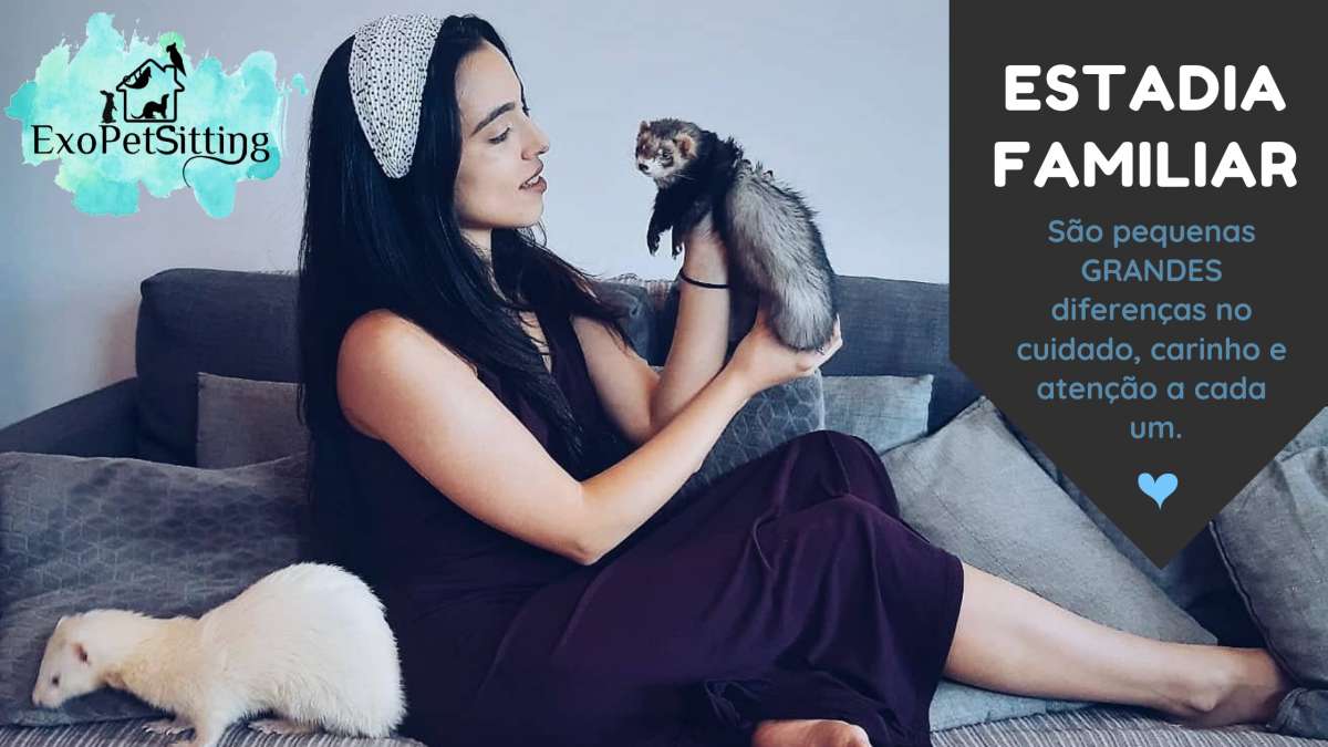 EXOPETSITTING - Pet-sitting Animais Exóticos e Acupuntura Veterinária - Mafra - Pet Hotel