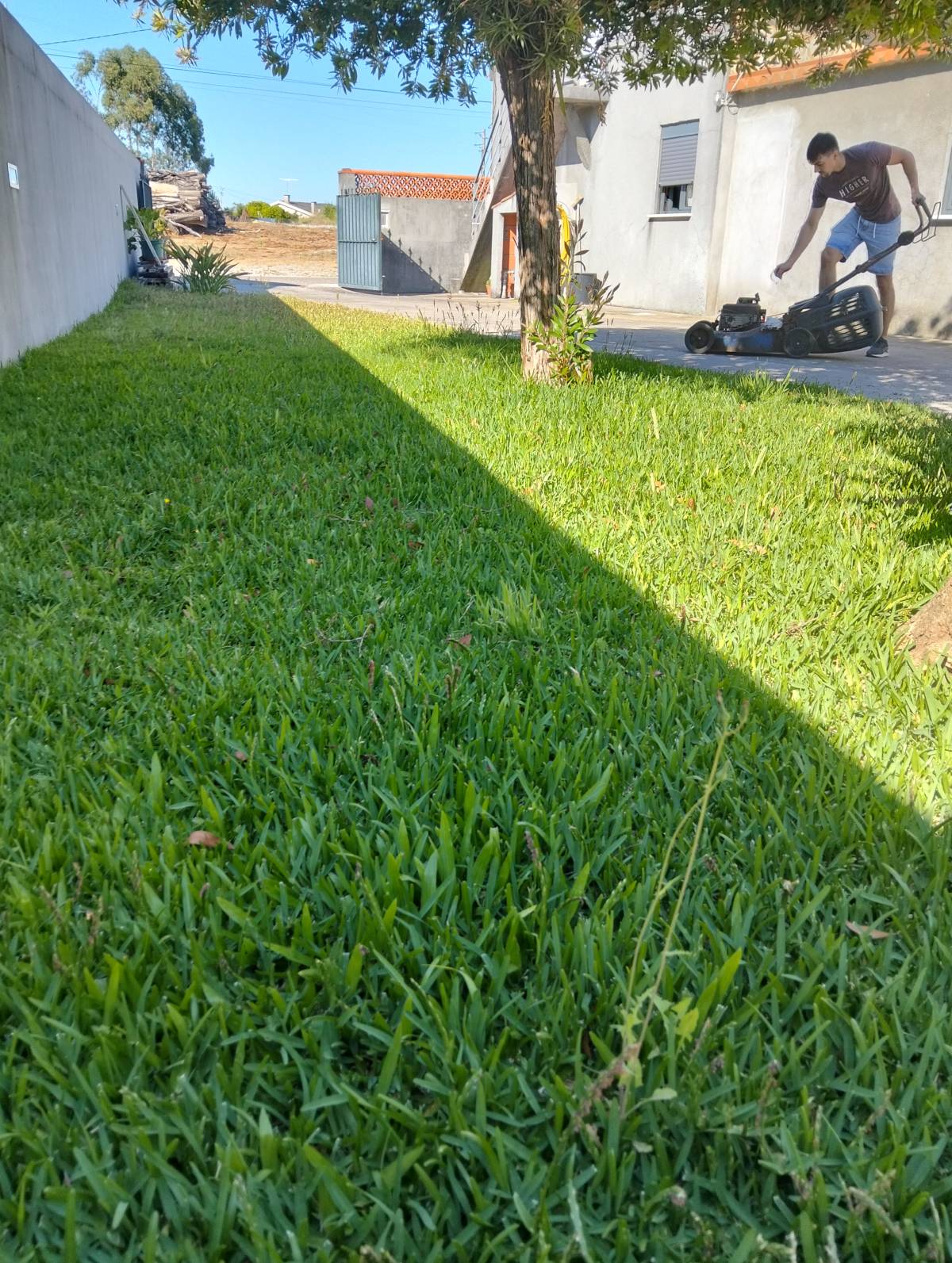 Baptista Jardins e Serviços - Ílhavo - Pose de pierre