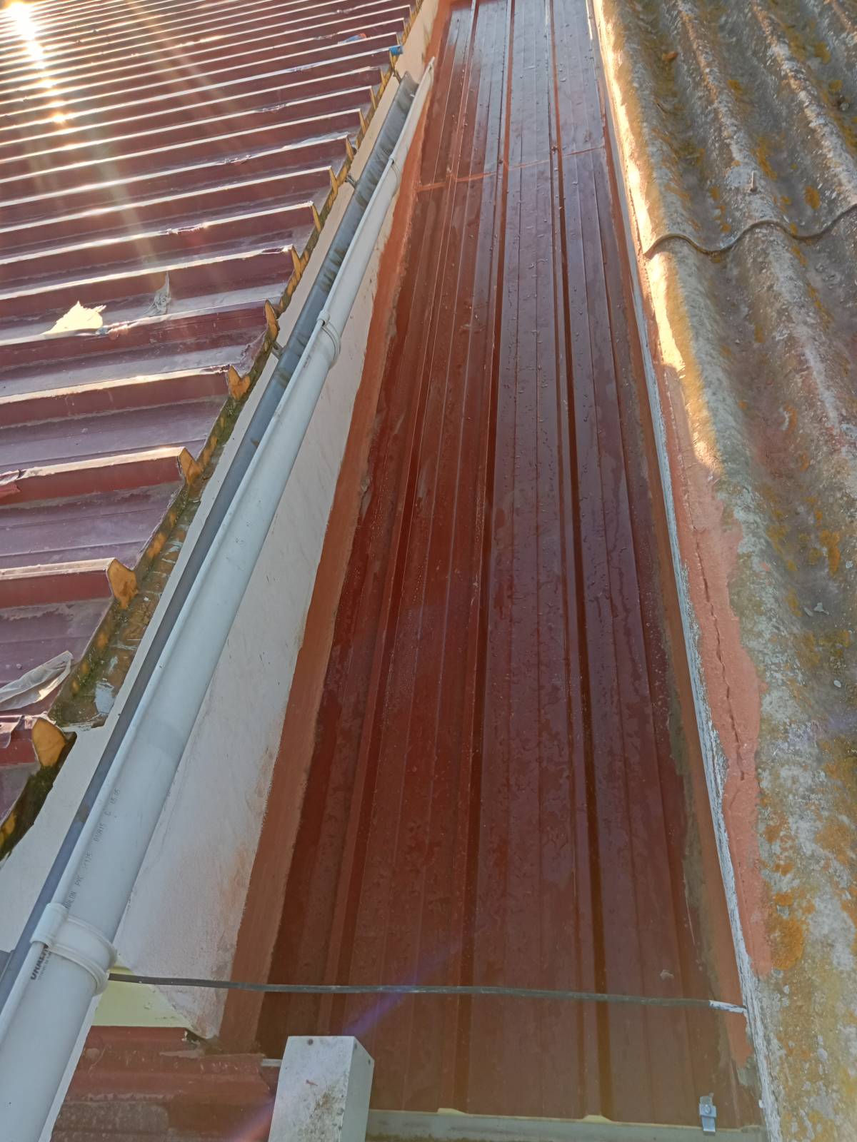 Ritmos 23 - Montijo - Instalación de sistemas de riego por goteo