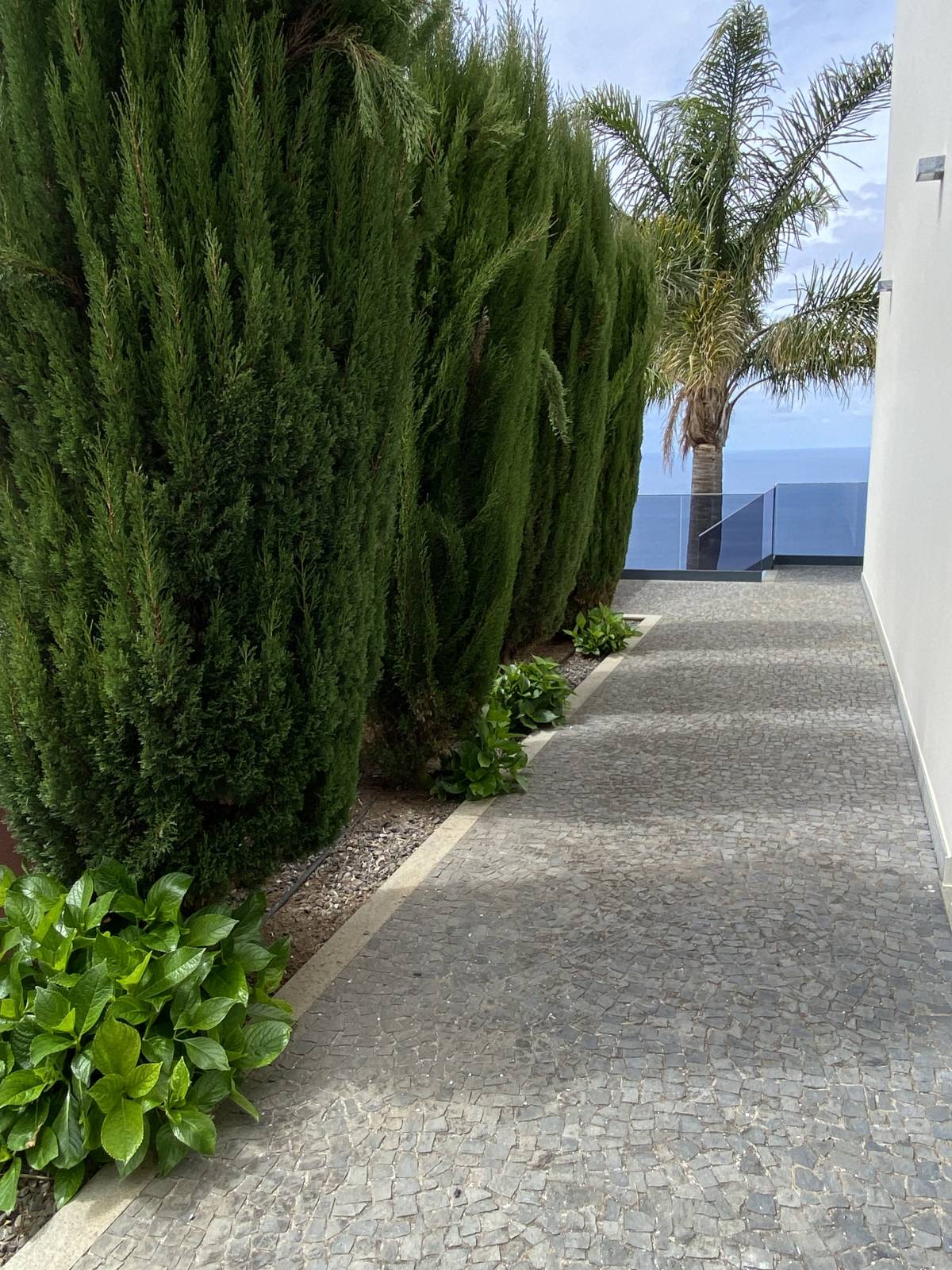 Madeira Build - Funchal - Carpintería