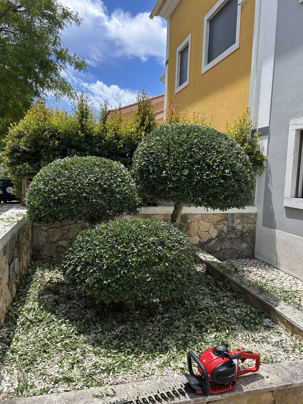 EiliGarden - Sintra - Shrub Removal