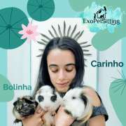 EXOPETSITTING - Pet-sitting Animais Exóticos e Acupuntura Veterinária - Mafra - Veterinários