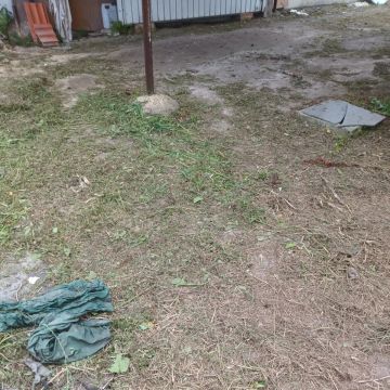 Baptista Jardins e Serviços - Ílhavo - Greenhouse Services