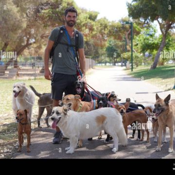 PettBoss - Maia - Dog Sitting