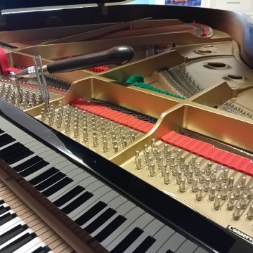Electrical - Márcio Monteiro - Mudhole