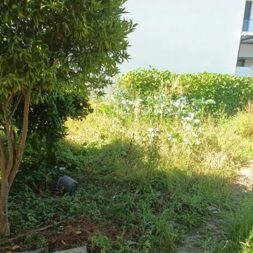 Baptista Jardins e Serviços - Ílhavo - Boulder Placement