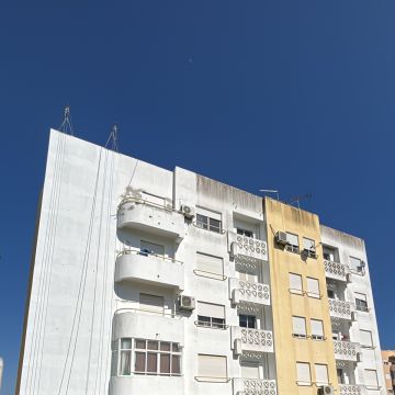 RS PINTURAS ALGARVE - Faro - Eliminación de arbustos