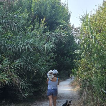 Pet Sitting - Póvoa de Varzim - Pet Sitting