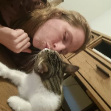 Nathalie - Almada - Cat Sitting