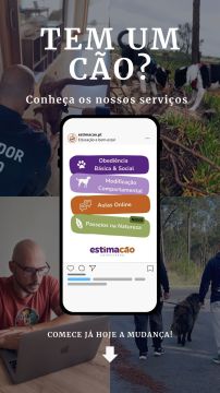 Estimacão | Educação e bem-estar - Ílhavo - Cuidar tus mascotas