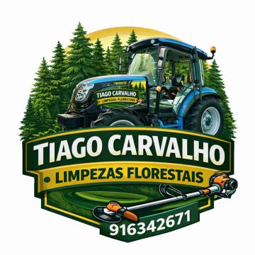 Tiago Carvalho - Santo Tirso - Remoção de Tronco de Árvore