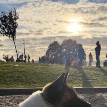 Beatriz - Vila Nova de Gaia - Pet Sitting