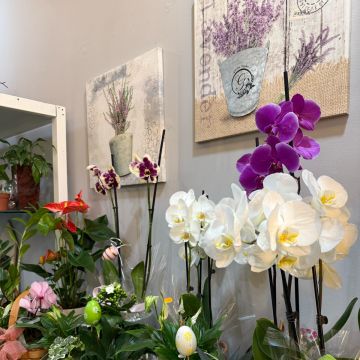 Casa e flor - Penafiel - Florista de bodas