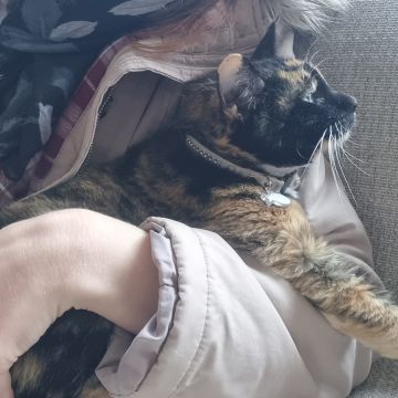 Nathalie - Almada - Cuidados para Animais de Estimação