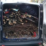 JR mudanças e Jardins - Lisboa - Shrub Removal