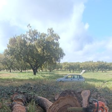 prestação de serviços rural - Viana do Alentejo - Handyman